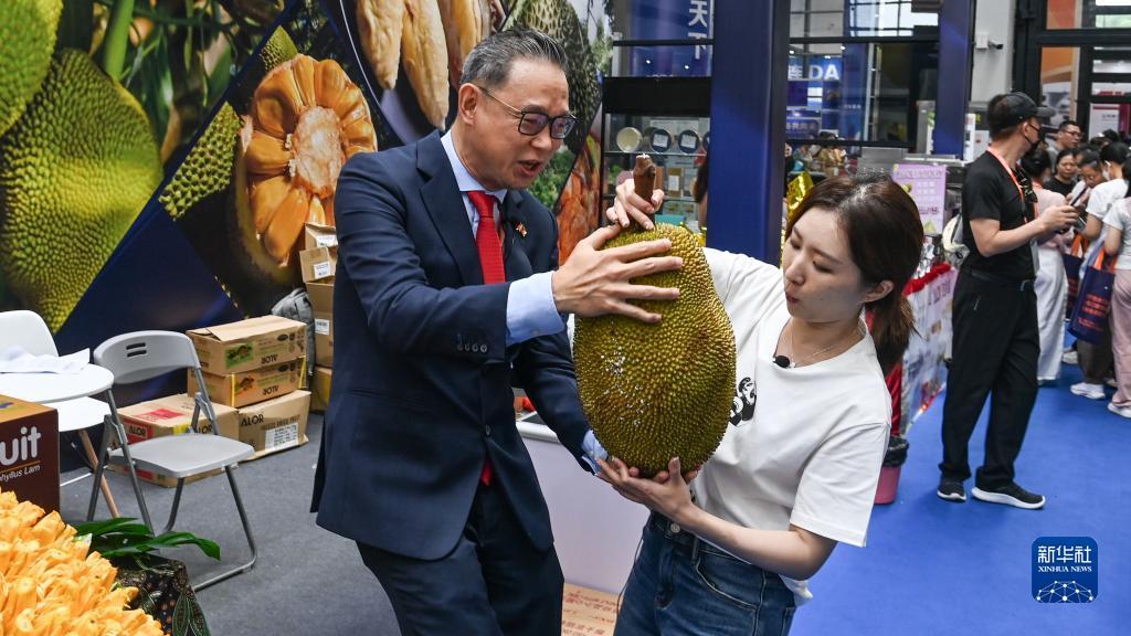 俄罗斯梯子游戏网站