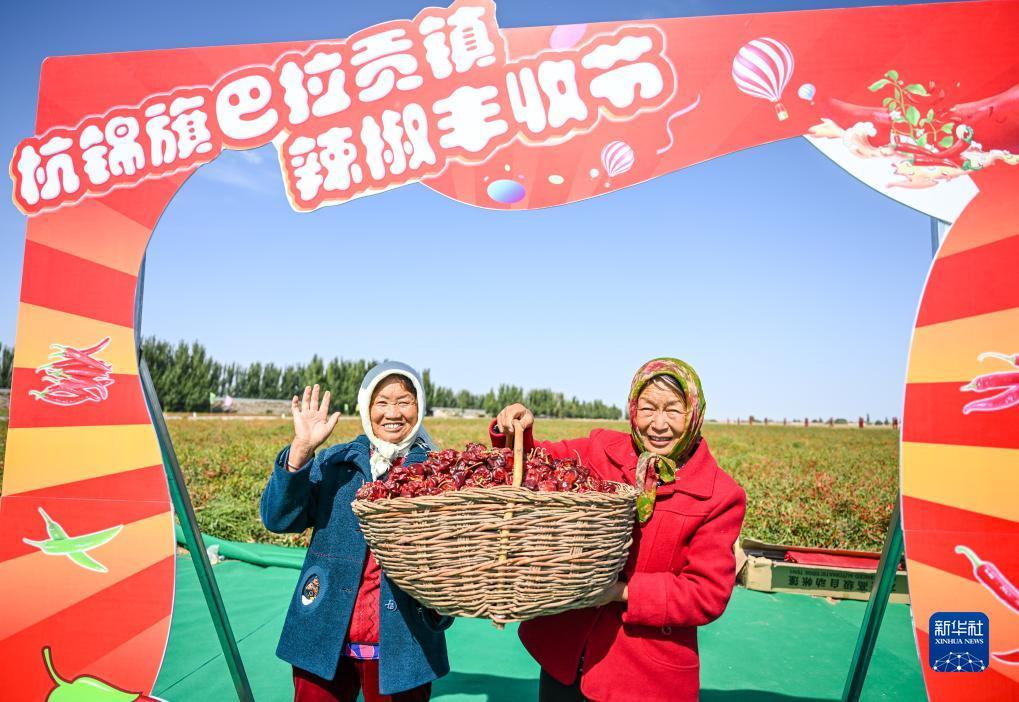 杏耀注册代理